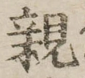 親 위치 확인됨