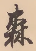 森 위치 확인됨