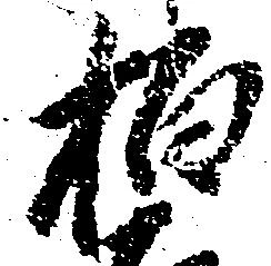 柏 위치 확인됨