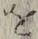 글자 を