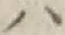 字ハ