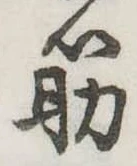 筋 위치 확인됨
