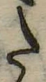𛁠 위치 확인됨