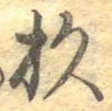 位置定マレル杉