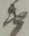 衛 위치 확인됨