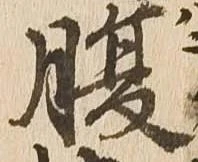 已定位腹