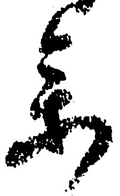 参の位置