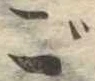 ご 위치 확인됨