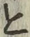 글자 と