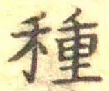 글자 種