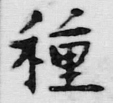글자 種