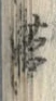 文字帯