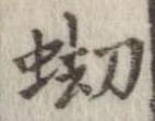 蜐 위치 확인됨