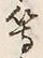 글자 等