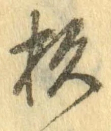 已定位杉
