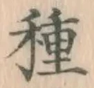 글자 種