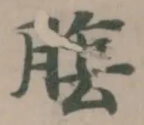 𦝴 위치 확인됨