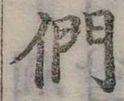 Đã định vị 們