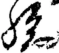 已定位孫