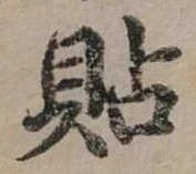 位置定マレル貼
