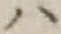 字ハ