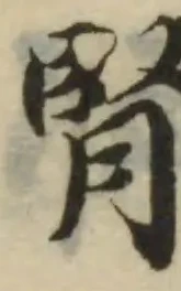 腎 위치 확인됨