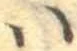 𛂞の位置