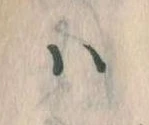 已定位𛂞