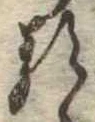 已定位𛃽