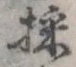 採の位置