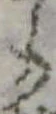 미지정 위치 확인됨