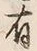 Character 有