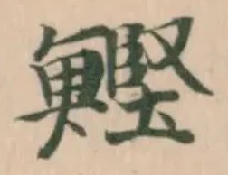 Located 鰹