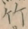 文字竹