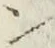 “ン”字