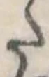已定位𛁠