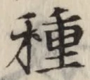 글자 種