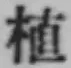 글자 植