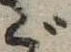 Located ご