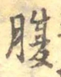 腹 위치 확인됨