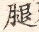 腿の位置