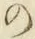 字の