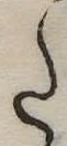 𛁠 위치 확인됨