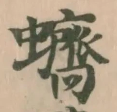 蠐 위치 확인됨