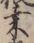Đã định vị 桑