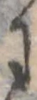 位置 確認된 𛂌