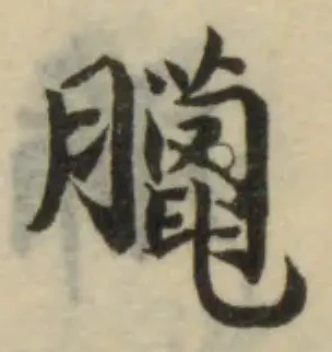 位置 確認된 臘