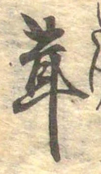 茸 위치 확인됨