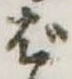 位置定マレルば