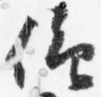 已定位仰